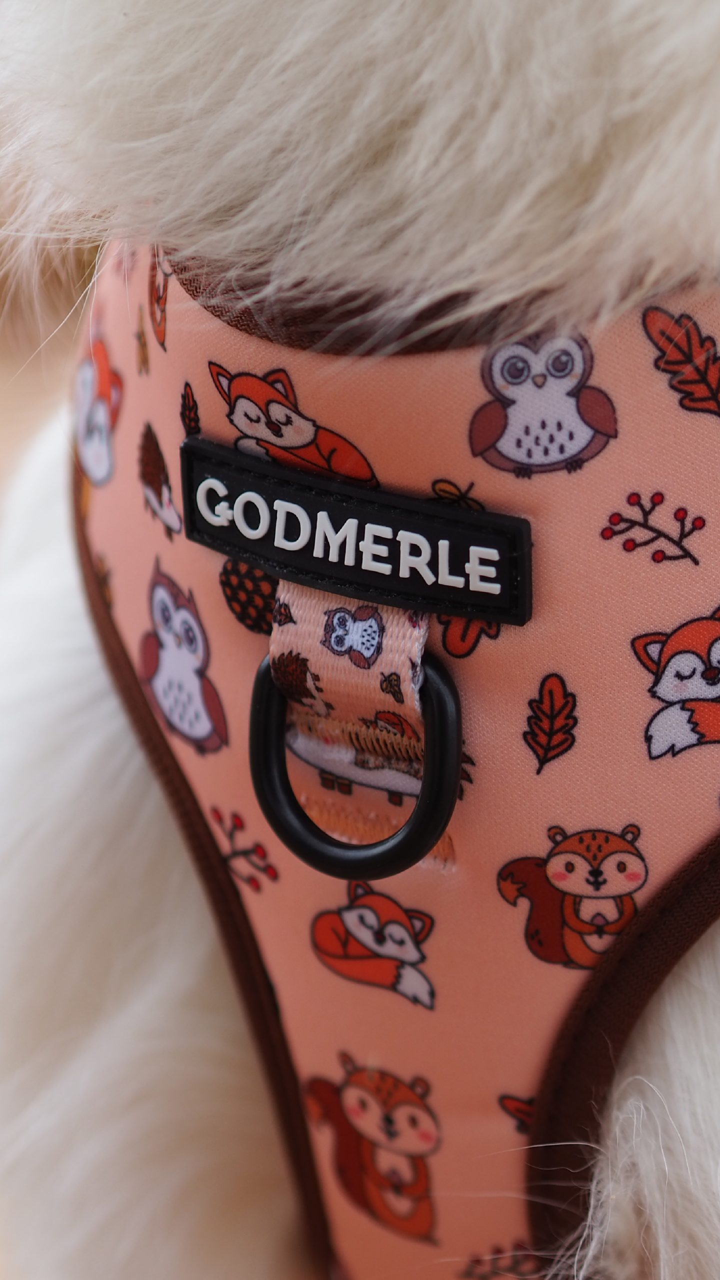 MOVIL CABECERA Mesa de trabajo 1 scaled