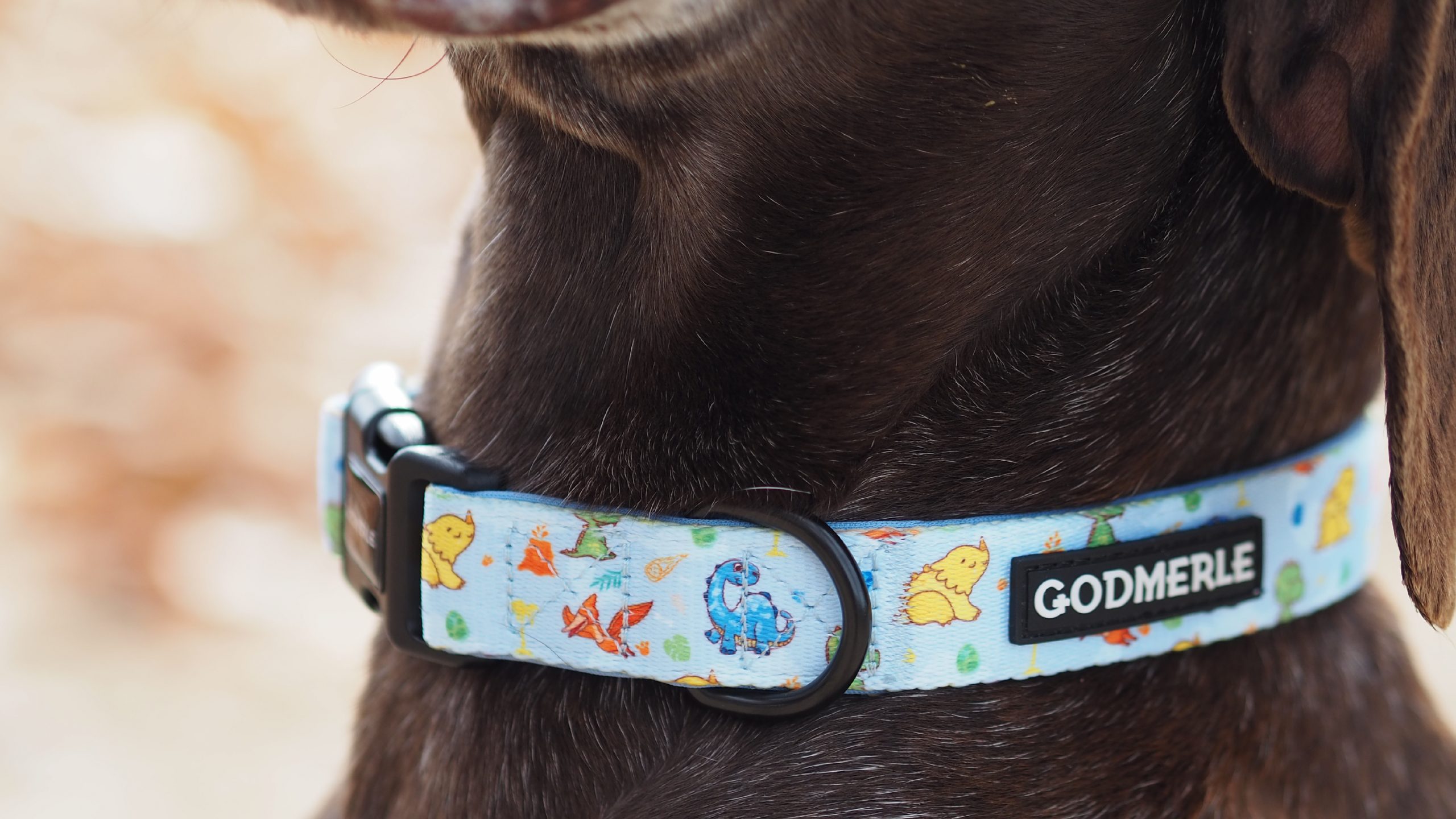 collar dino Mesa de trabajo 1 scaled